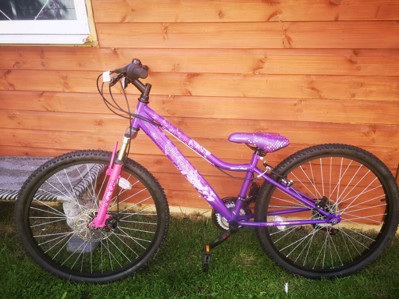 apollo independence junior mountain bike